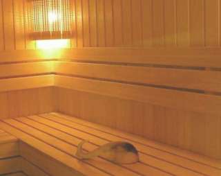 Сауна Сауна на Ивановской в Санкт-Петербурге